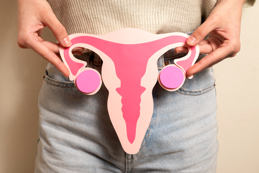 List of female hormones and functions