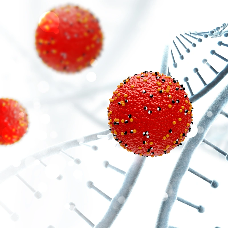 Mesenchymal Stem Cell